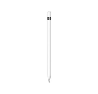 Apple Pencil 1st Gen with USB-C pencil Adapter