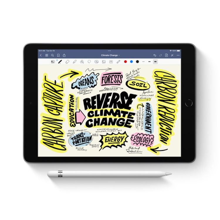 Apple Pencil 1st Gen with USB-C pencil Adapter