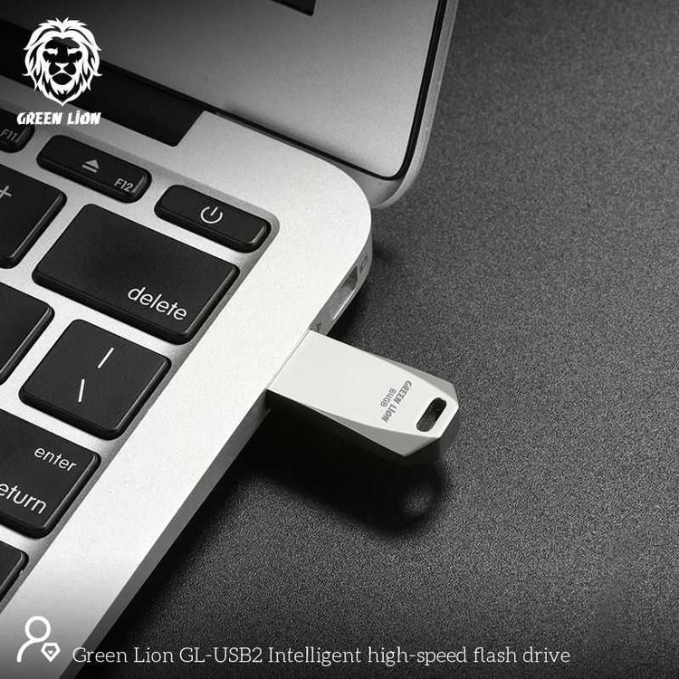 Green Lion High Speed Flash Drive - 64GB - Silver