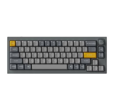 Keychron Q2 QMK Custom Mechanical Keyboard with RGB, Knob Red Switch and Costom Hotswappable Compatible with Mac & Windows - Grey