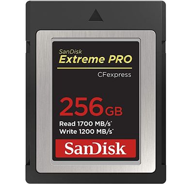 SanDisk 256GB Extreme PRO CFexpress Card Type B - SDCFE-256G-GN4NN - Black