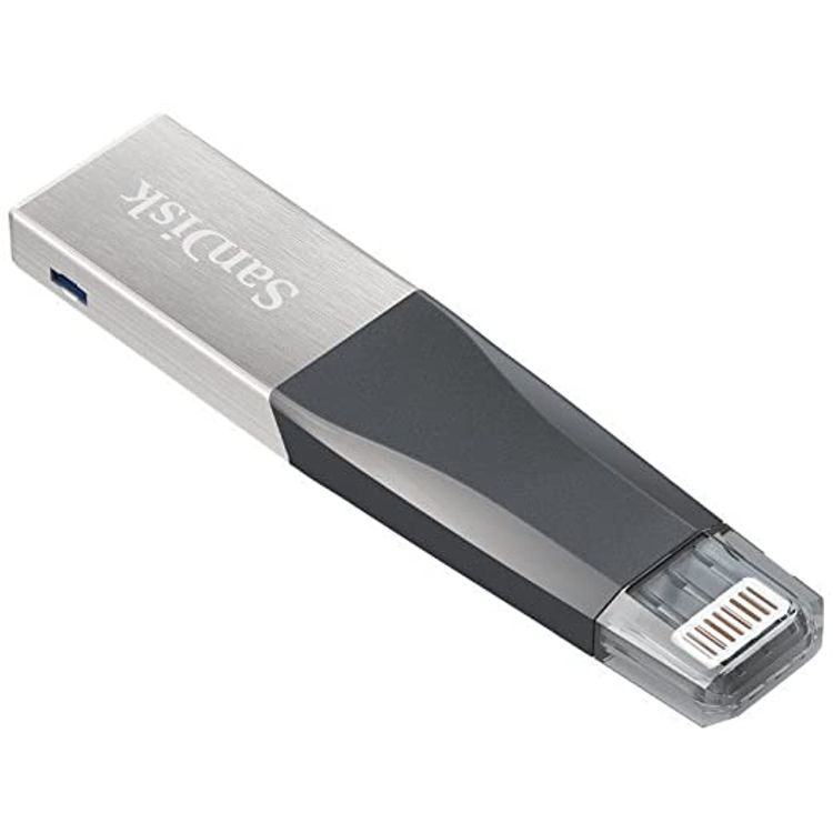 SanDisk 16 GB iXpand Mini Flash Drive for IPhones and IPads - SDIX40N-016G-GN6NN - Silver/Black