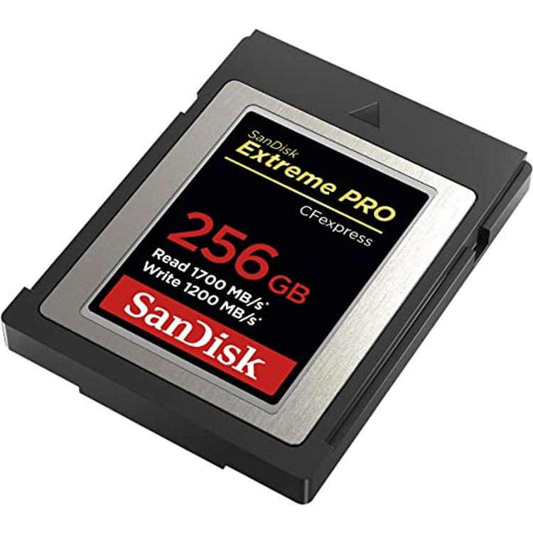 SanDisk 256GB Extreme PRO CFexpress Card Type B - SDCFE-256G-GN4NN - Black