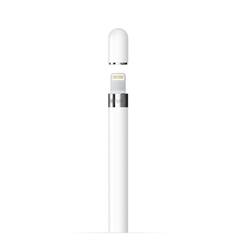 Apple Pencil 1st Gen with USB-C pencil Adapter