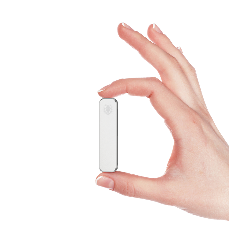 Mobile Stand Green Lion Multipurpose Mini Stand - Silver