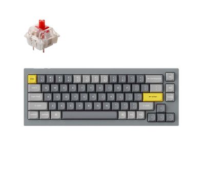 Keychron Q2 QMK Gateron G-PRO Mechanical Keyboard with RGB, Red Switch and Costom Hot-Swappable - Space Grey