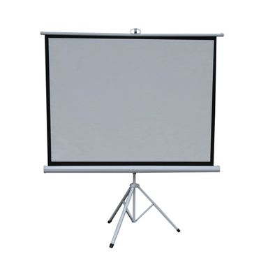 Green Lion 120" Portable Projection Screen With Tripod Stand - White