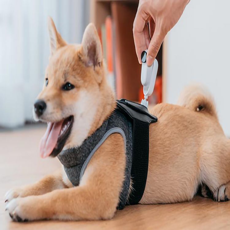 انستا 360 كاميرا جو 2 إصدار 32 جيجا ، كاميرا تايني أكشن محمولة , متينة ومقاومة للماء حتى عمق 13 قدمًا - أبيض