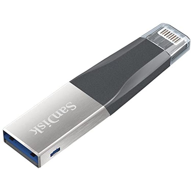 SanDisk 16 GB iXpand Mini Flash Drive for IPhones and IPads - SDIX40N-016G-GN6NN - Silver/Black